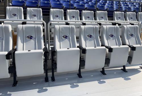 Baltimore Ravens - VIP Sideline Seating