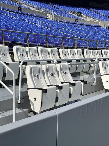 Baltimore Ravens - VIP Sideline Seating